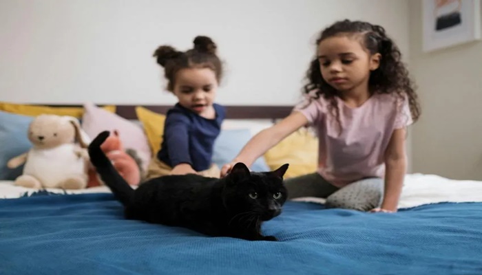 Nestlé India Rolls Out Pet Perks For Employees