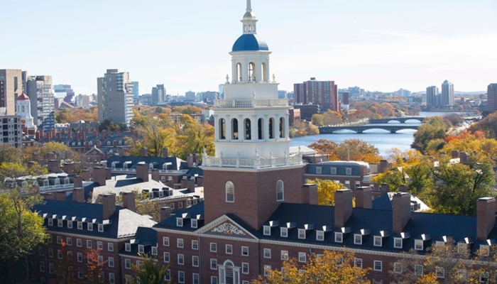 Are Harvard grads not getting jobs? Employment data busts viral claims