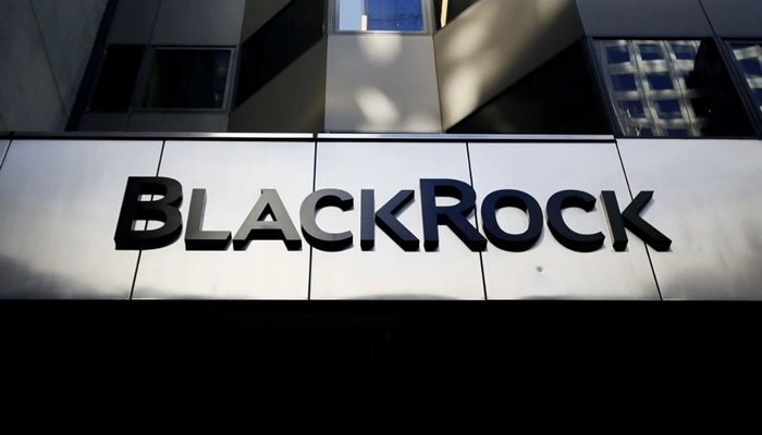 BlackRock layoffs begin in 2025 after adding 3,700 staff last year