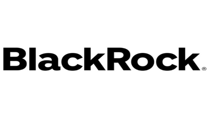 BlackRock to trim workforce by 1%, to slash 300 jobs
