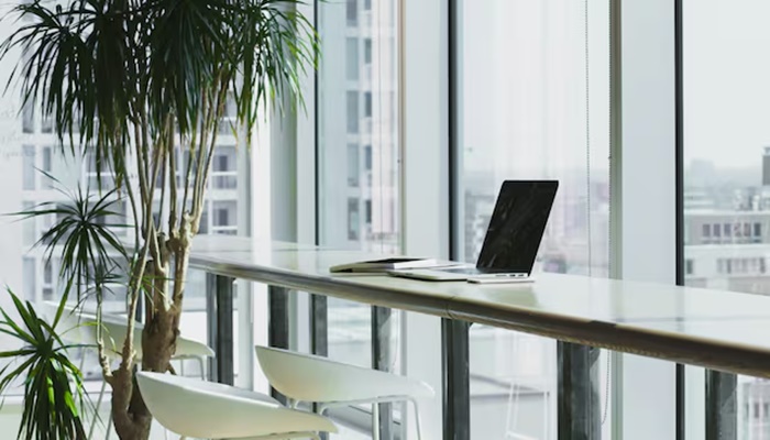 Malaysian Employee Alleges Boss Demanded Live Location During Annual Leave