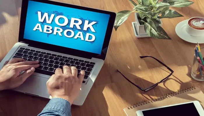 Want to work abroad? Forget US or UK, Reddit says these countries are easiest for Indians to find jobs