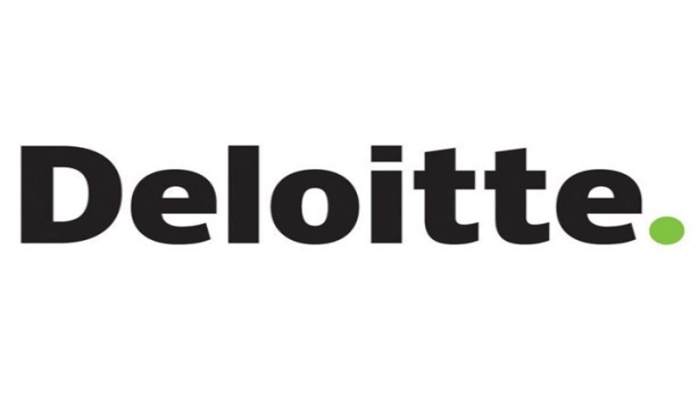 Deloitte employees can buy Legos, puzzles worth $1000 a year