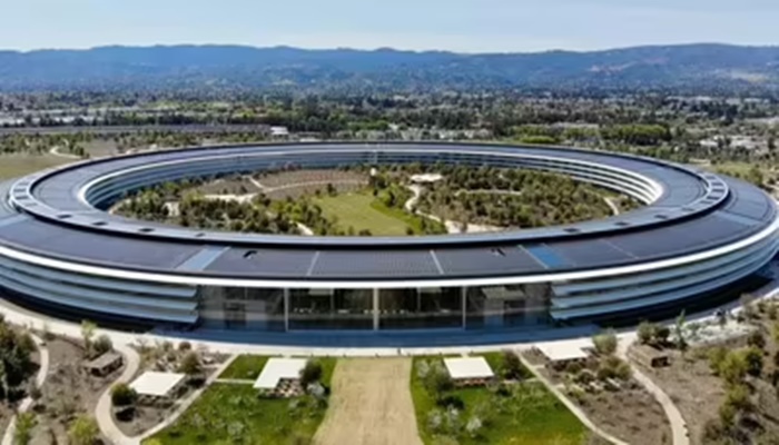 'Silicon Valley would become Stupid Valley': MAGA activist schooled for demanding reservation for US citizens in tech jobs