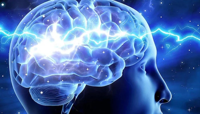 Is Your Desk Job Harming Your Brain? Link Between a Sedentary Lifestyle and Neurodegeneration