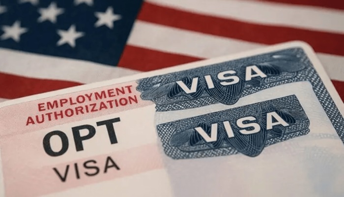 STEM OPT pending, H-1B in limbo: Laid-off grad races against 103-day visa clock