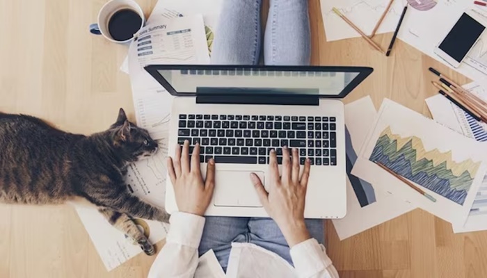 Looking for a remote job? 10 websites you should check out