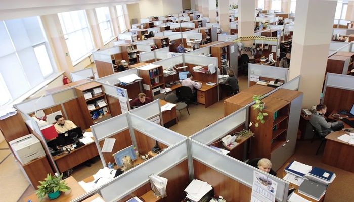 Unionized Cubicles: Risks, Rewards, and Realities for White-Collar Workers