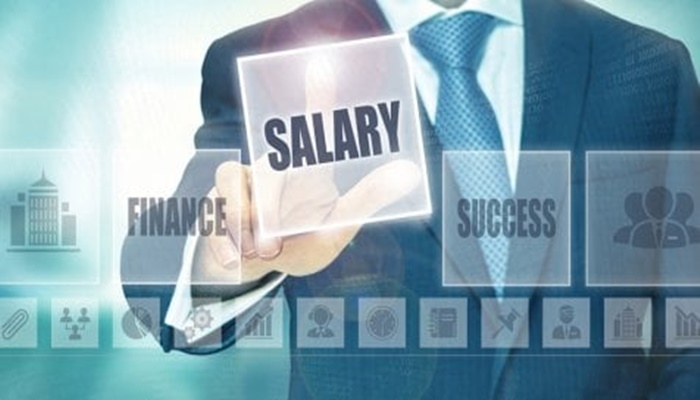 CEO Pay in India Hits ₹7.2 Cr; MNCs Lead in Salaries