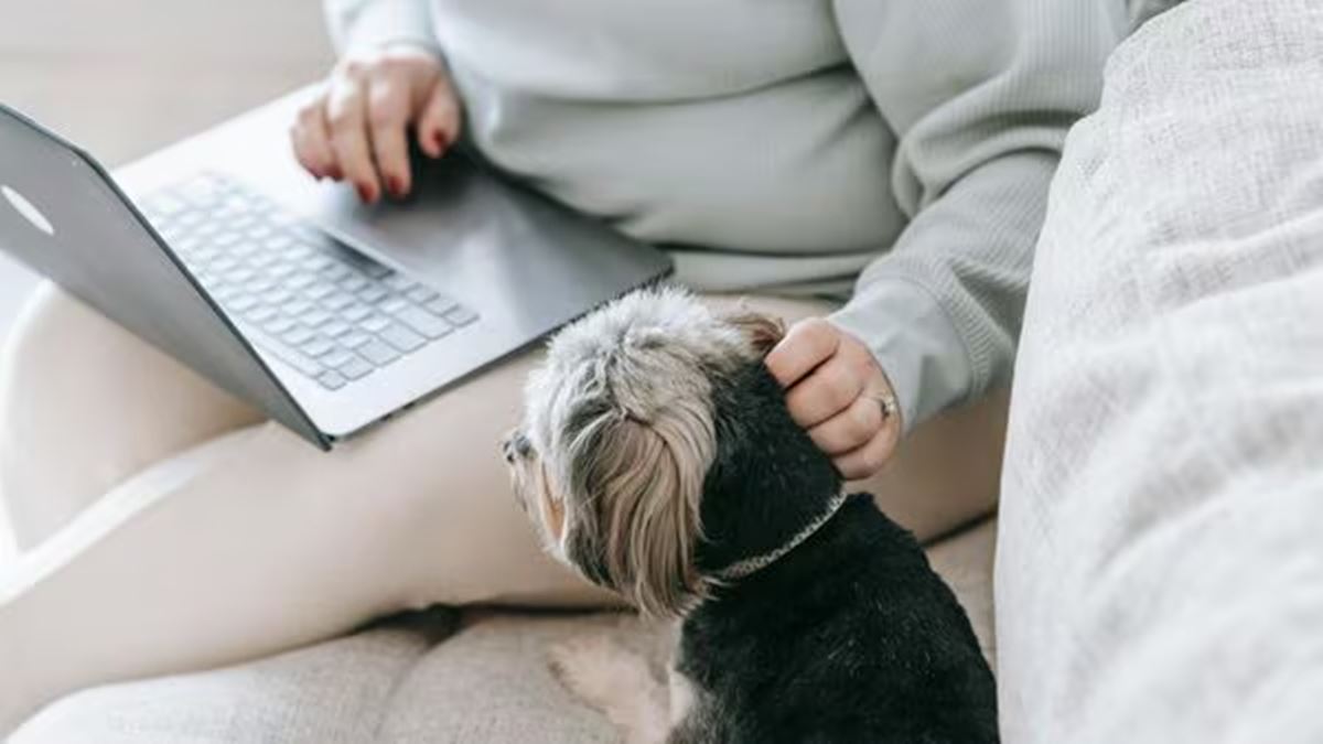 ‘If you work from home, you’re not allowed to complain about your job’: Viral video on WFH sparks debate