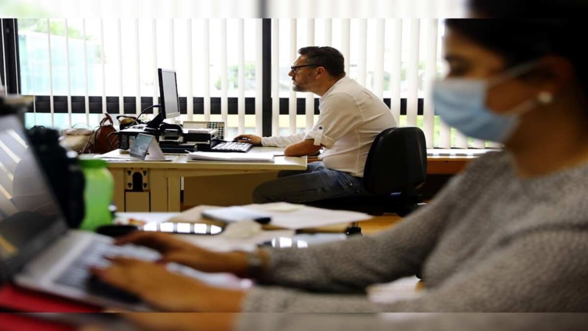 72% employers expect job growth despite AI fears: Naukri