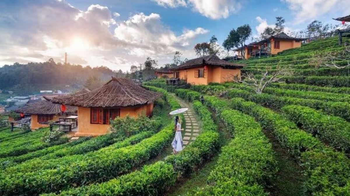 Tourism could create 40 mn jobs: Top official calls for world-class standards to boost India's GDP