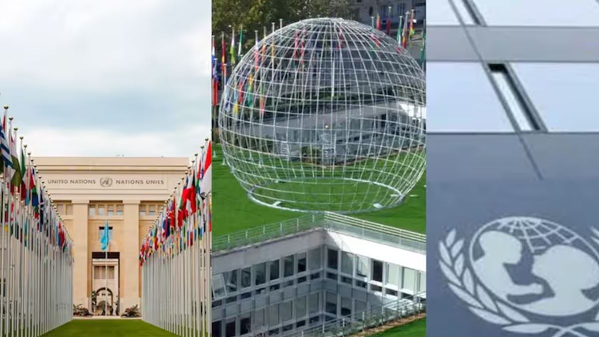 How To Get A Job At UN Bodies: A Step-By-Step Guide