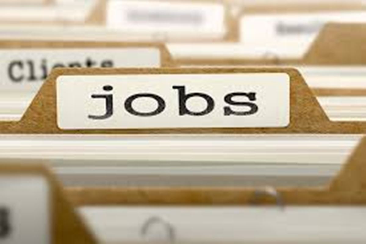 Is AI a canary in the coal mine and should we really fear AI taking jobs in Europe?