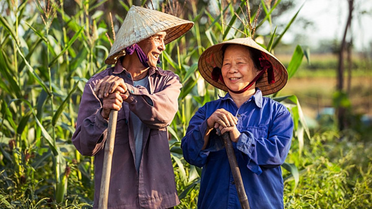 Indonesia launches large-scale plantation programme to create 1.6 million jobs