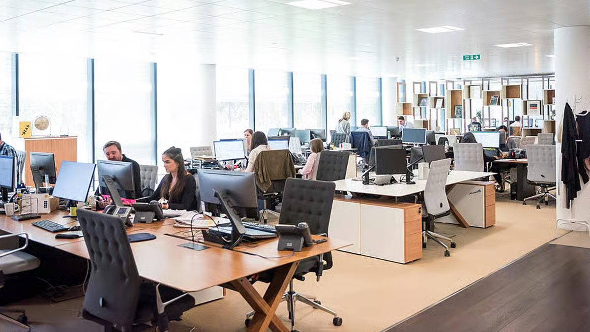 'Tribe' Vibes At Workplace