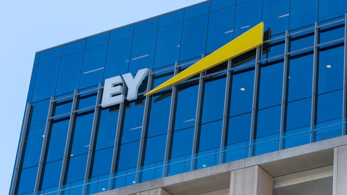 EY axes more than 50 jobs as government contracts decline 