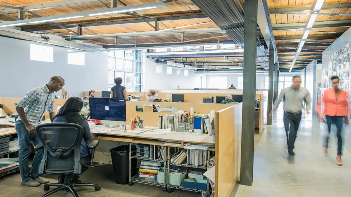 If you were laid off, you could 'boomerang' back to your old company. Here's who's more likely to be asked back.