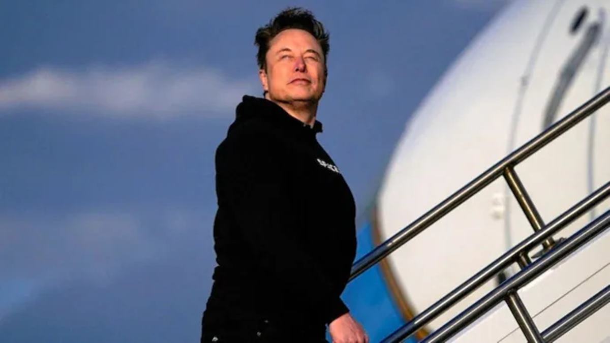 Elon Musk says jobs won't matter in 20 years, thanks to AI