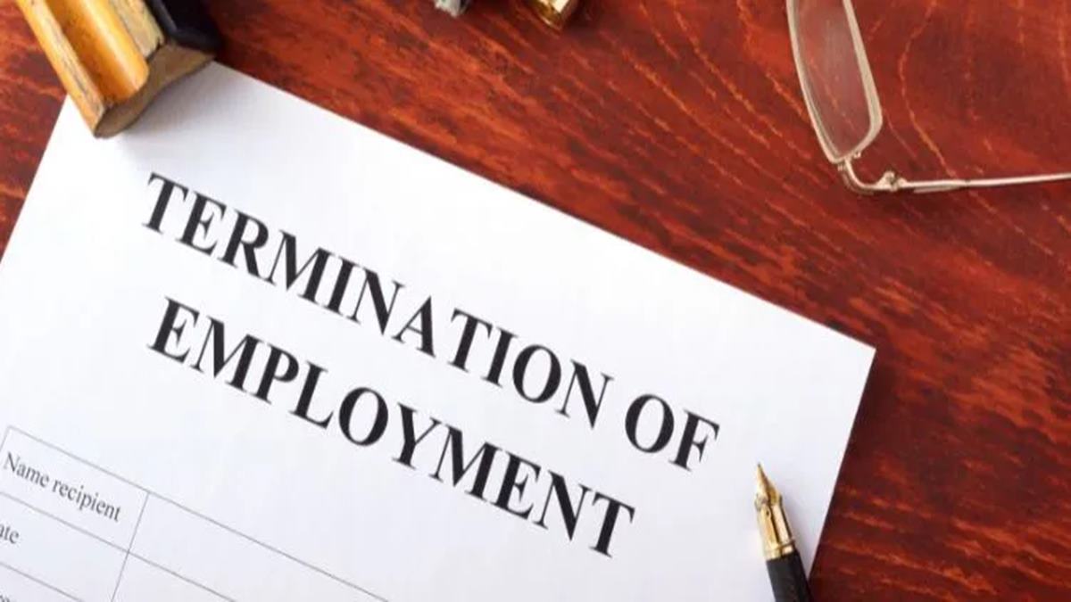 Woman receives job termination email from company she never worked for!