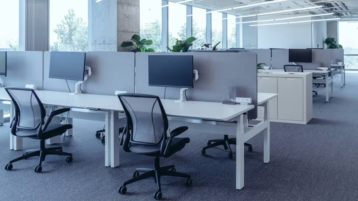 It's getting harder to find a job in Toronto even if you have a degree