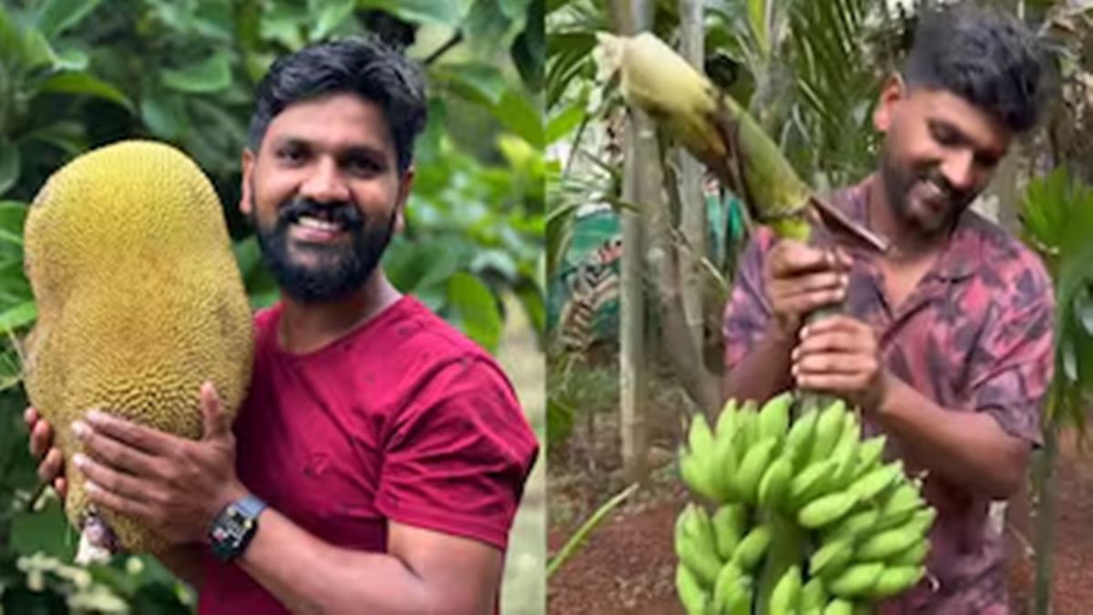 Bengaluru techie quits IT job to build food forests, plants over 1 lakh trees across India
