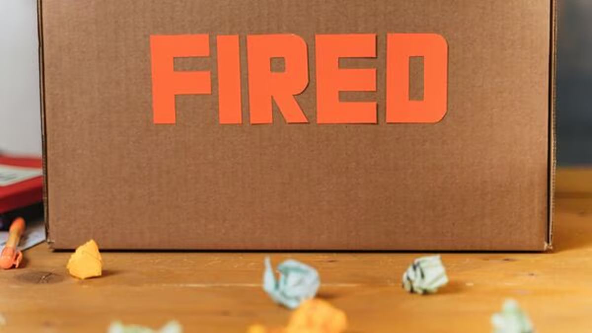 Techie claiming AI took his job sets internet ablaze: ‘feels like becoming obsolete overnight'