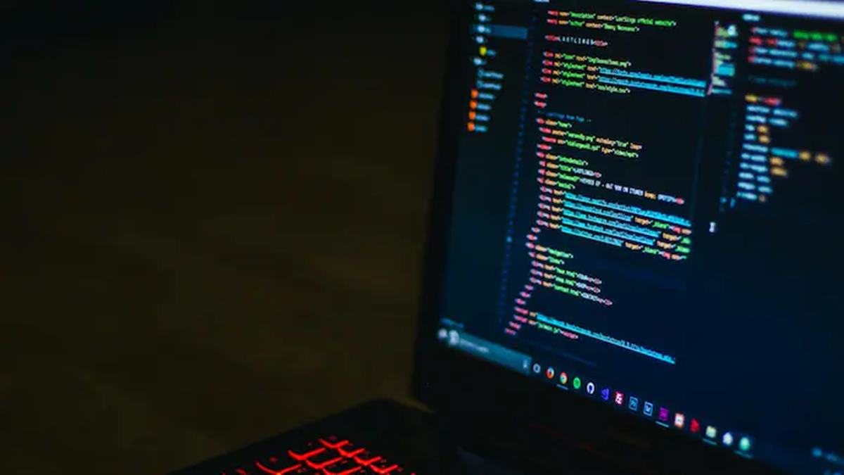 If AI writes code, what happens to jobs for computer science graduates?