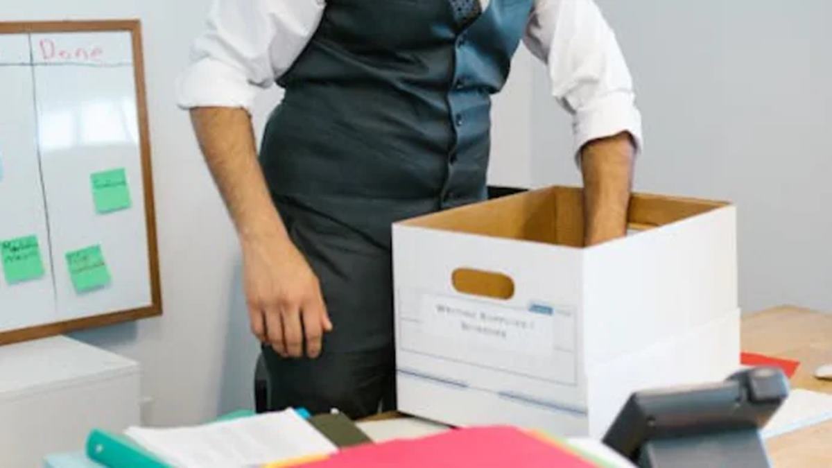 Job security over hustle: IITian leaves Rs 2 crore monthly business to join startup